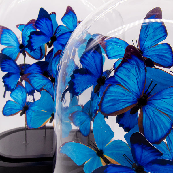 Glasglocke · Schmetterlinge blau