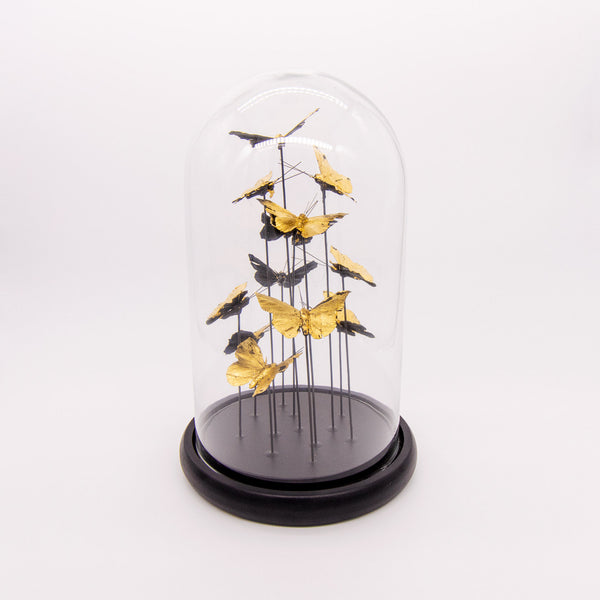 Glasglocke · Schmetterlinge gold